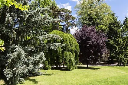 Hotel Domaine De Clairefontaine - Teritoria Chonas-lʼAmballan